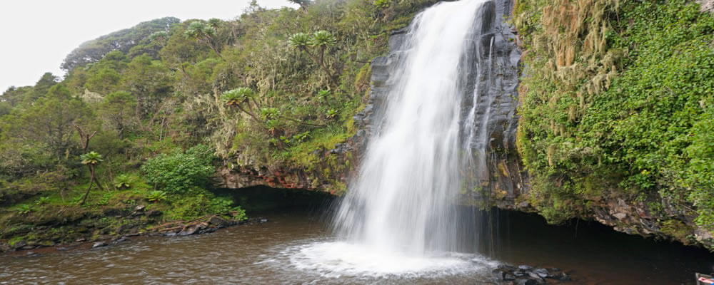4Days Aberdares Walking Safari