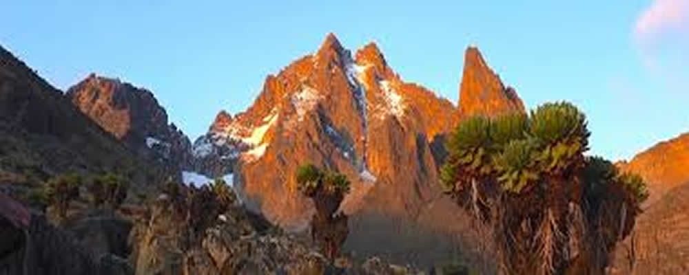 Mount Kenya Climbing