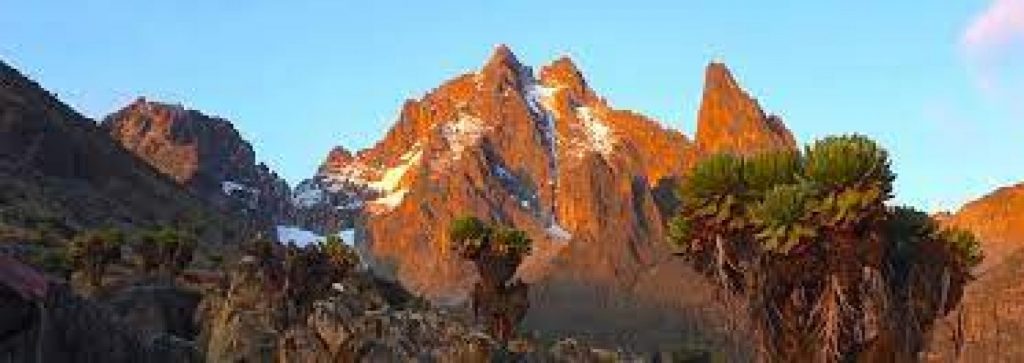 Mount Kenya Climbing Tours - Mt Kenya Trekking